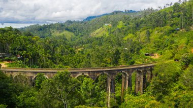 Ella, Sri Lanka yakınlarındaki dağlık bölgede dokuz kemer köprüsü. Her yer orman ve çay tarlası..