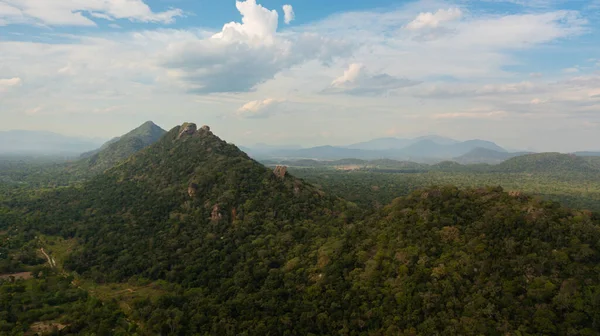 Top view of jungle and rainforest surrounded by mountains in national park. Sri Lanka.