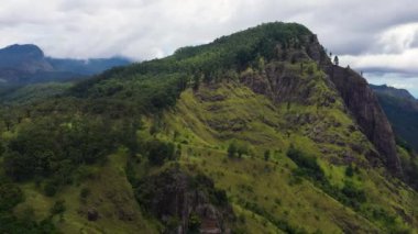 Green rainforest and jungle in the mountains of Sri Lanka view from above. Ella Rock, Sri Lanka.