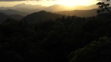 Top view of Mountain slopes covered with rainforest and jungle during sunset. Sri Lanka.