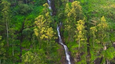 Waterfalls in a mountain gorge in the tropical jungle. Ramboda, Sri Lanka.