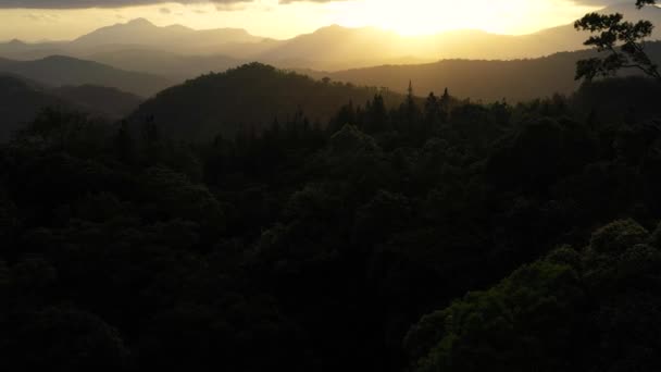 Top View Mountain Slopes Covered Rainforest Jungle Sunset Sri Lanka — Stok video