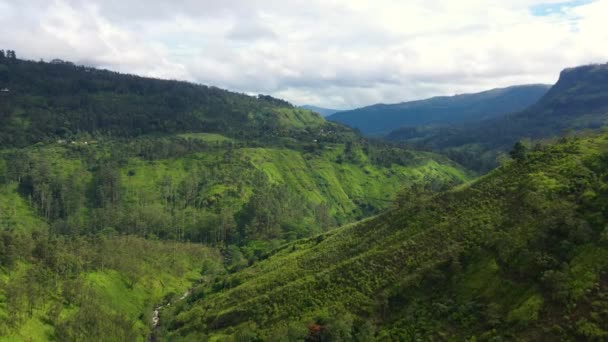 Aerial View Mountains Rainforest Agricultural Land Mountainous Province Sri Lanka — Stock Video