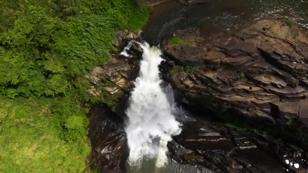 Waterfall Tropical Mountain Jungle Clair Falls Sri Lanka — Video Stock