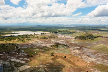 Rice fields and agricultural land in rural areas. Sri Lanka.