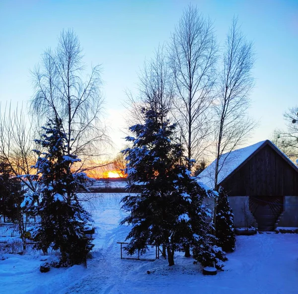 Zimowy Widok Okna — Stockfoto
