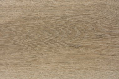 Meşe ağacının dokusu, arkaplan, meşe ağacı masaüstü dokusu arkaplanı