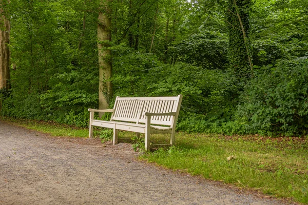 Banc Blanc Dans Vide Parc Hollandais Ockenburgh Près Haye — Photo