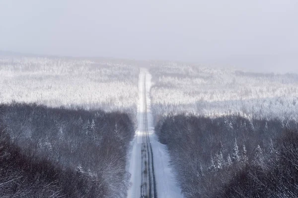 Quebec 216 yolu, Chaudiere-Appalaches bölgesinde, kışın, kısmi karlı yolun etrafındaki kar ormanının geniş panoramik manzarasıyla. 