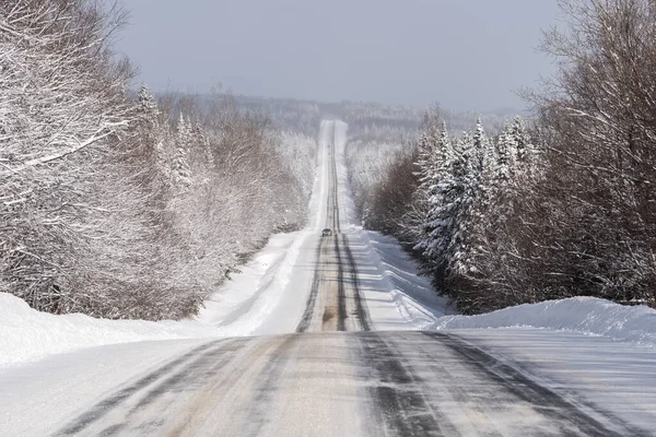 Quebec 216 yolu, Chaudiere-Appalaches bölgesinde, kışın, kısmi karlı yolun etrafındaki kar ormanının geniş panoramik manzarasıyla. 