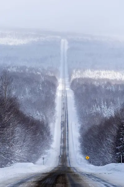 Quebec 216 yolu, Chaudiere-Appalaches bölgesinde, kışın, kısmi karlı yolun etrafındaki kar ormanının geniş panoramik manzarasıyla. 