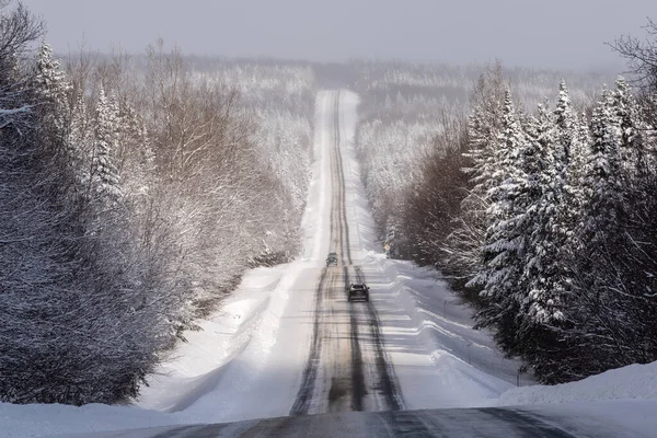 Quebec 216 yolu, Chaudiere-Appalaches bölgesinde, kışın, kısmi karlı yolun etrafındaki kar ormanının geniş panoramik manzarasıyla. 