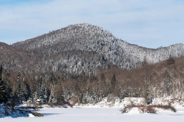 Kışın, Jacques-Cartier nehri vadisi SEPAQ 'un Jacques-Cartier Ulusal Parkı' nda (Quebec, Kanada)