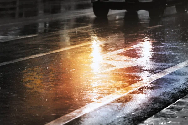 Yağmurlu Bir Günde Islak Patika Asfalt Seviyesinden Manzara — Stok fotoğraf