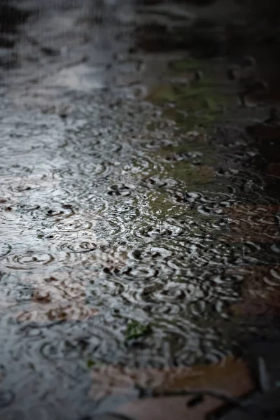 Σταγόνες Βροχής Πέφτουν Κατά Διάρκεια Της Σκληρής Βροχής Πέφτουν Νύχτα — Φωτογραφία Αρχείου