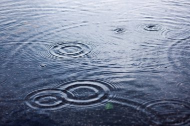 Rain drops and smooth wave ripple in a big puddle on asphalt road,rainy season background. clipart