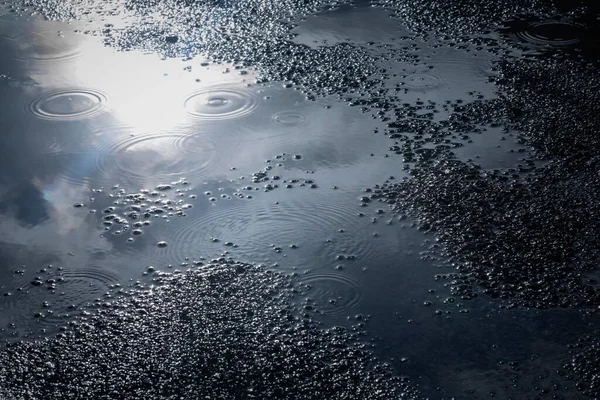Çatlamış ıslak asfalt yolda su birikintileri sağanak yağmurdan sonra, yağmurlu mevsim arka planında.