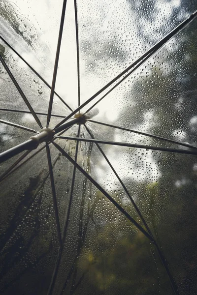 Parapluie Transparent Avec Gouttes Eau Éclaboussures Thème Pluie Été Forêt — Photo
