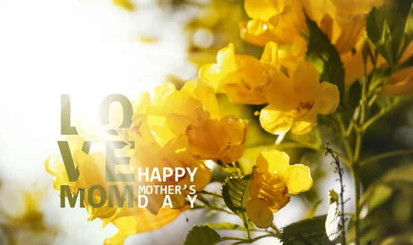 Щасливий День Матері Каліграфія Квітковим Фоном — стокове фото