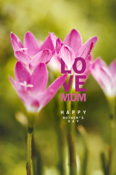 Happy Mother Day Calligraphy Blossom Flowers Background —  Fotos de Stock