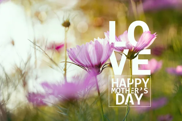 Feliz Dia Das Mães Caligrafia Com Flores Fundo Florido Símbolos — Fotografia de Stock