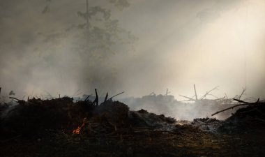 Asya 'da yağmur ormanlarının tahrip edilmesi. Zirai yakma tarlalarından gelen duman ve hava kirliliği.