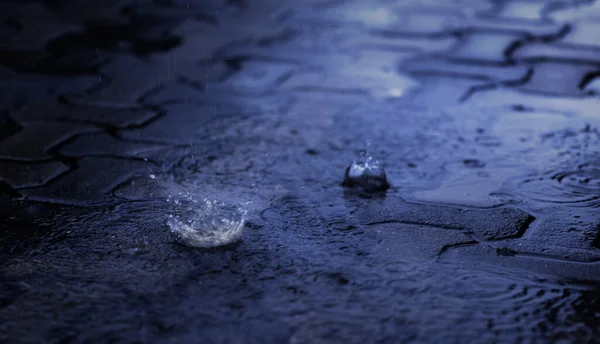Gotas Lluvia Salpicando Durante Lluvia Dura Caen Por Noche Enfoque —  Fotos de Stock