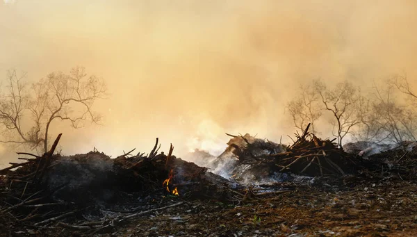 Odlesňování Deštných Pralesů Asii Kouř Ovzduší Znečištění Spalování Zemědělských Polí — Stock fotografie