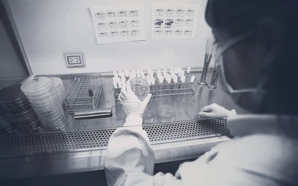 Coronavirus Koncepció Kórházi Laboratóriumban Kémcsöveken Dolgozó Tudós — Stock Fotó
