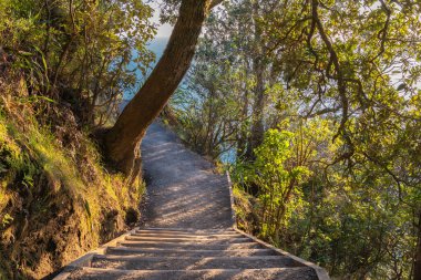 Ülkenin en popüler yürüyüşlerinden biri olan Tauranga Yeni Zelanda 'da Maunganui Dağı' nda bir aşağı bir yukarı giden yol..