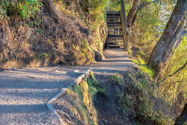 Pathway Mount Maunganui Une Des Promenades Les Populaires Pays Tauranga — Photo
