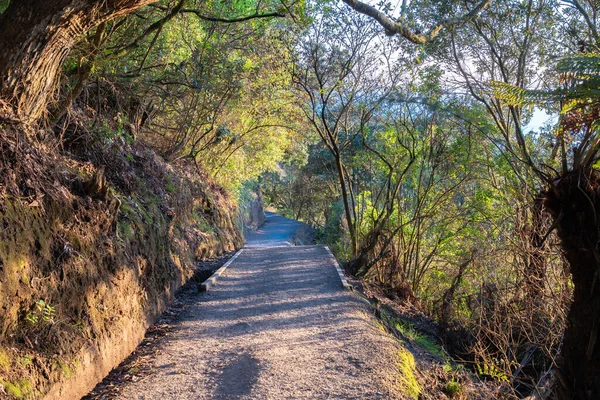 Vägen Upp Och Ner Mount Maunganui Landets Mest Populära Promenader — Stockfoto