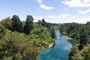 Aşağıdaki Waikato Nehri, Taupo 'daki doğal bir arazide çalıların arasında akıyor..