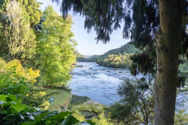 Ormanı ve Yeni Zelanda 'nın Taupo yakınlarındaki Huka Şelalesi yakınlarındaki Waikato Nehri' ni izle..