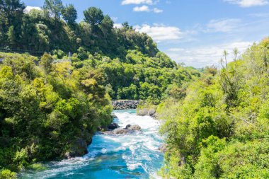 Arariatia Rapids 'in yerinde çalılar giyinmiş ve manzaralı Waikato Nehri