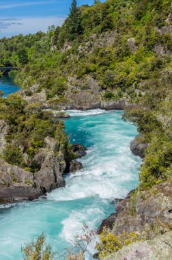 Arariatia Rapids 'in yerinde çalılar giyinmiş ve manzaralı Waikato Nehri