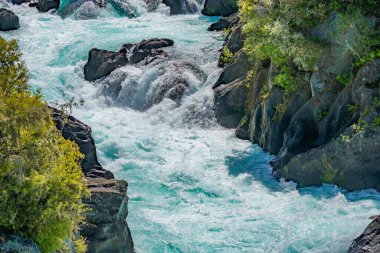 Arariatia Rapids 'in yerinde çalılar giyinmiş ve manzaralı Waikato Nehri