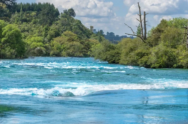 Água Jorrando Rio Waikato Correndo Entre Bordas Arbusto Folheado Que — Fotografia de Stock