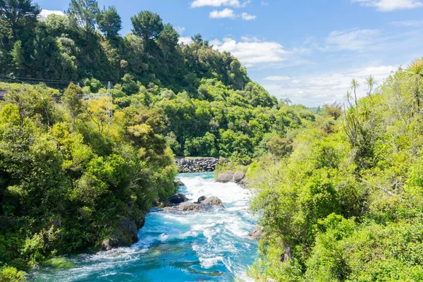 Arbusto Folheado Cénico Rio Waikato Lugar Arariatia Rapids — Fotografia de Stock