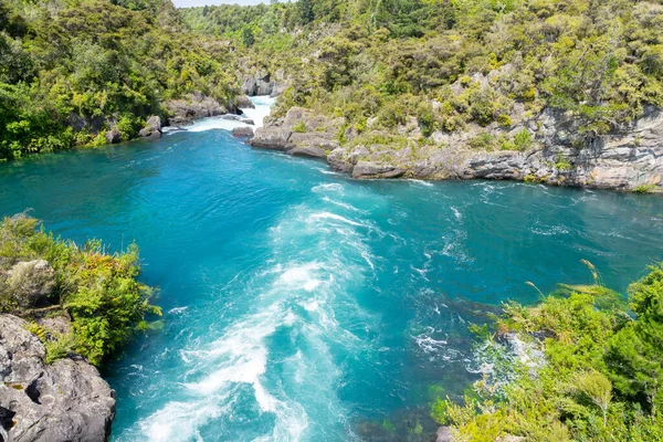 Arbusto Folheado Cénico Rio Waikato Lugar Arariatia Rapids — Fotografia de Stock