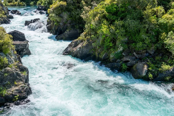 Arbusto Folheado Cénico Rio Waikato Lugar Arariatia Rapids — Fotografia de Stock