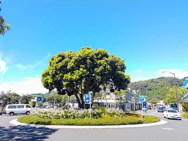 Whakatane Neuseeland November 2017 Straßenszene George Street Und Strand Roundabout — Stockfoto