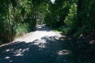 Daisy Hardwick Walk winds through luxuriant green bush and across open wetlands. Under shade of arching trees and bush foliage casts pattern shadows on path.