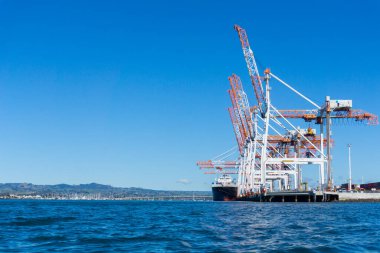 Tauranga Yeni Zelanda - 30 Temmuz 2018; Tauranga Limanı 'nın konteyner terminali ve ufuk çizgisine hakim yüksek vinçler.