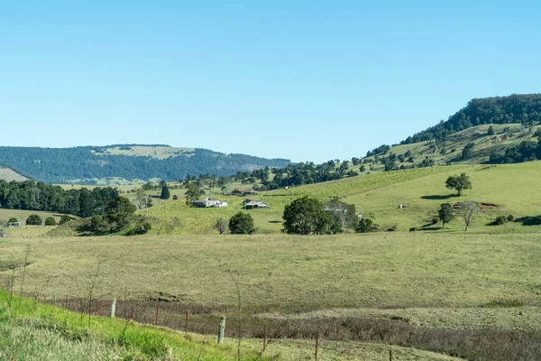 Ländliche Landschaft Grüne Felder Und Hügel Queensland Australien — Stockfoto