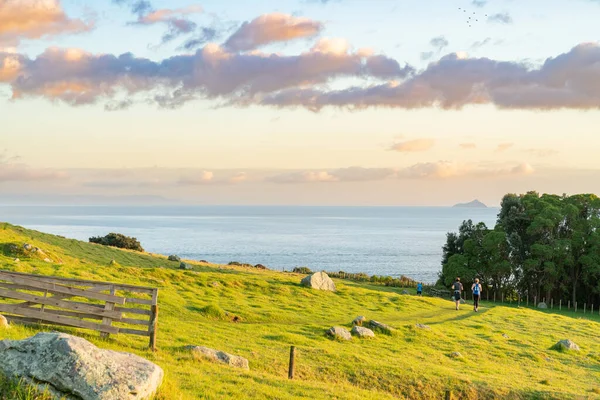 Tauranga Neuseeland Juni 2018 Morgenjogger Blick Auf Horizont Auf Dem — Stockfoto