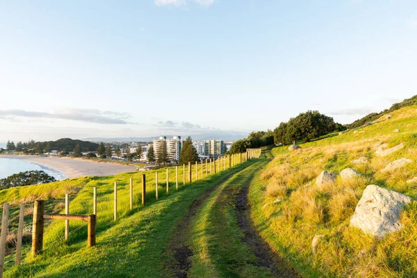 町や海のビーチ タウランガニュージーランドの建物への眺めとフェンスラインに沿ってマウンガヌイ山の周りを追跡します — ストック写真