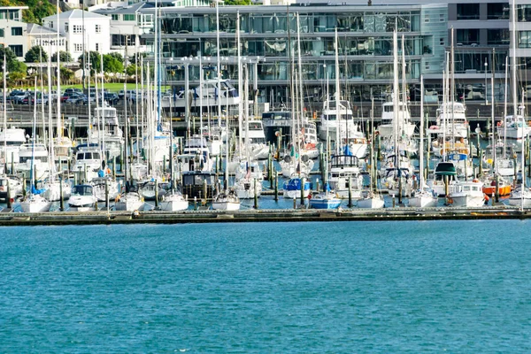 Chaffer Wharf Marina City Waterfront Wellington Nova Zelândia — Fotografia de Stock