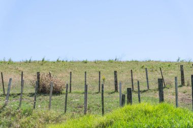 Kırsal Yeni Zelanda 'da tepe çizgisinin altında uzanan çitler