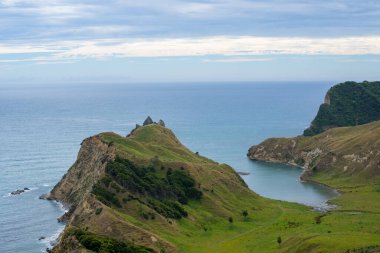 Cook 's Cove Tolaga Körfezi Yeni Zelanda' da deniz ve burun manzarası.